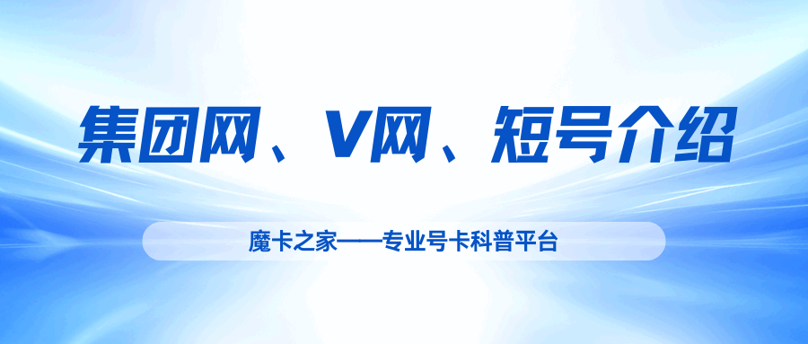 “集团网”、“V网”、“短号”是什么意思？怎么收费？
